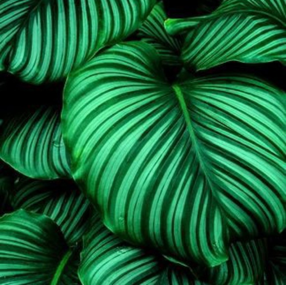 π₯Designer Necklace - Picture 6 of 8